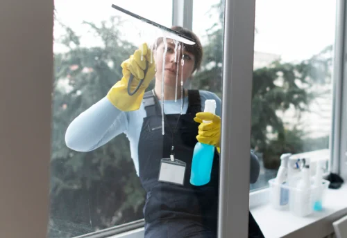 Nettoyage de vitres intérieures et extérieures à Blandouet-Saint Jean
